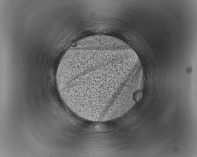 X0000113160506200909251355