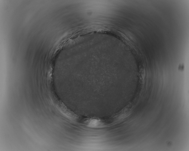 X0000113160507200909251355