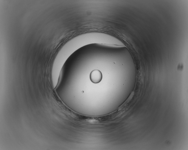 X0000113160509200909251355