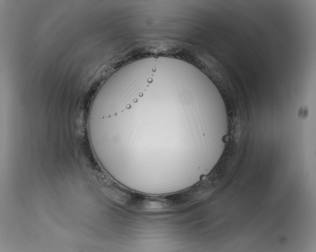 X0000113160510200909251355