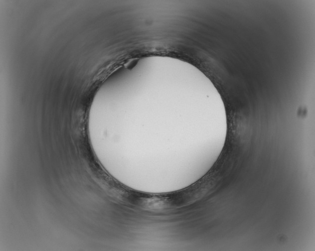 X0000113160511200909251355