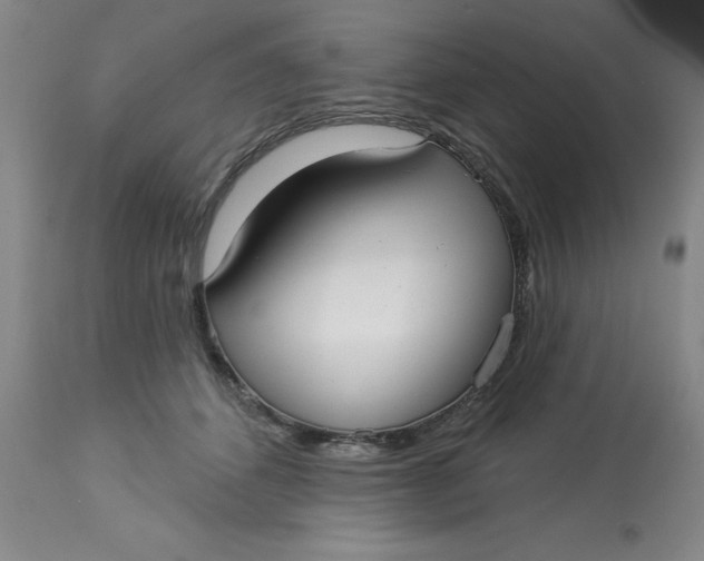 X0000113160512200909251355