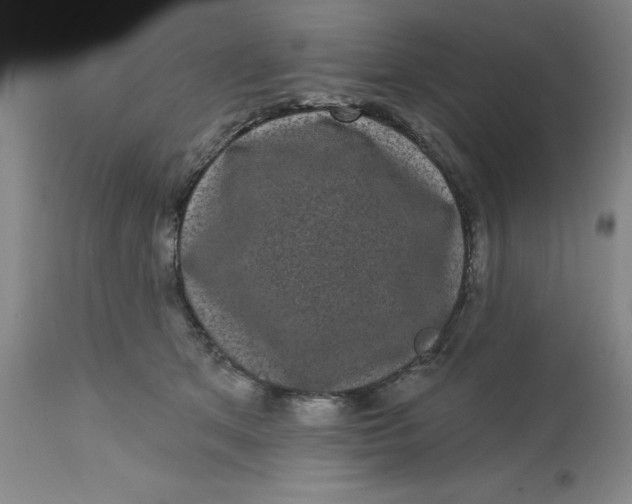 X0000113160513200909251355