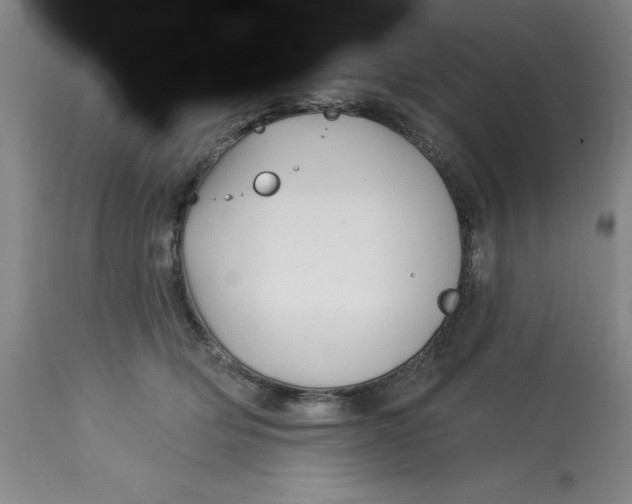 X0000113160514200909251355