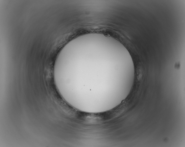 X0000113160515200909251355