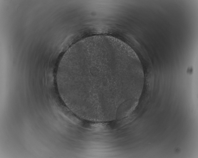 X0000113160516200909251355