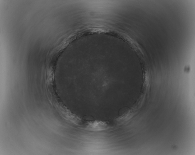 X0000113160517200909251355