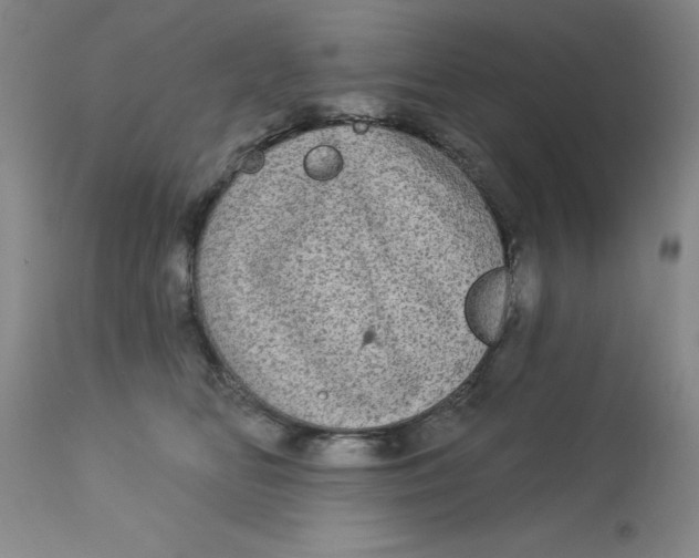 X0000113160518200909251355