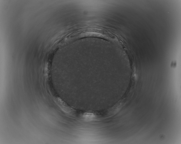 X0000113160519200909251355