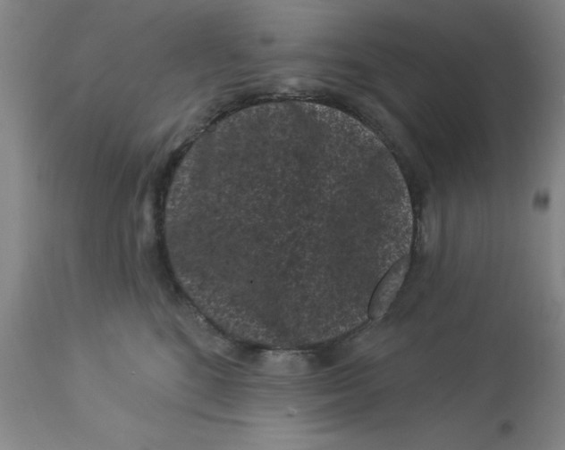 X0000113160520200909251355