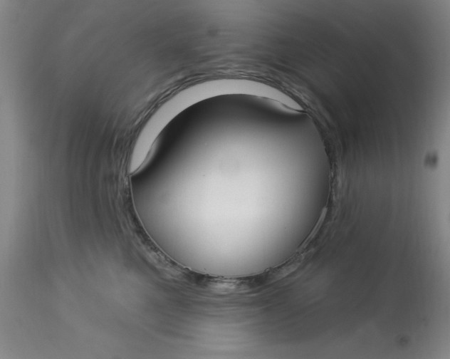 X0000113160521200909251355