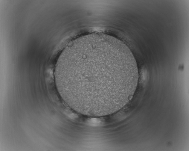 X0000113160522200909251355