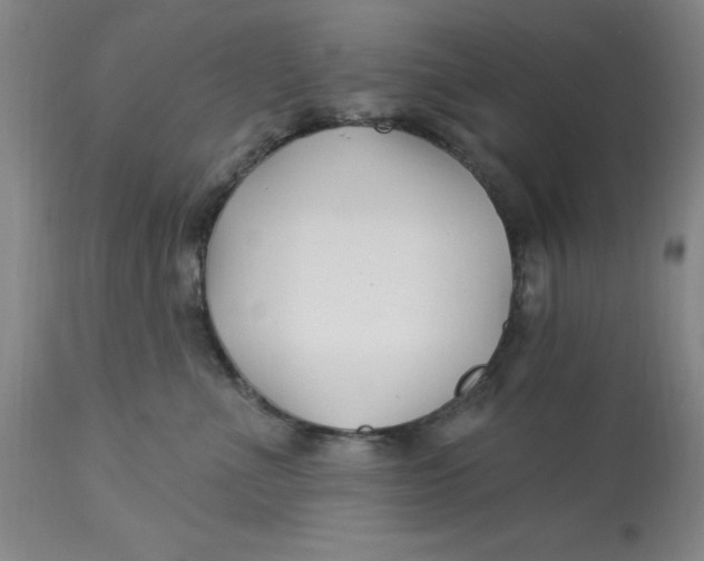 X0000113160523200909251355