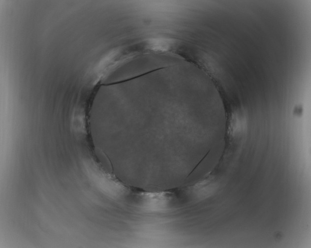 X0000113160524200909251355