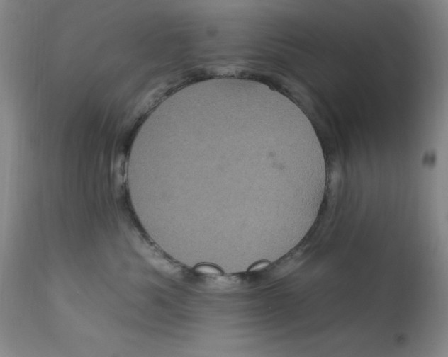 X0000113160525200909251355