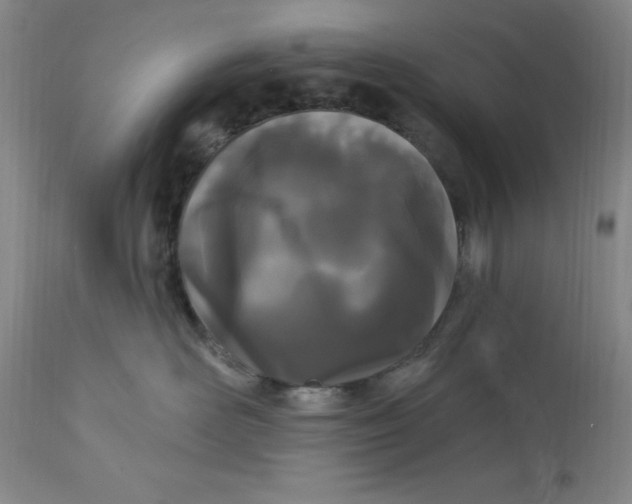 X0000113160526200909251355