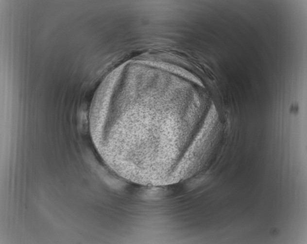 X0000113160527200909251355