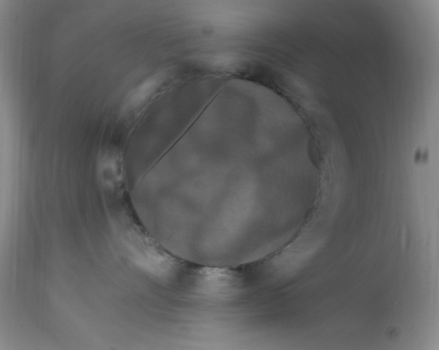 X0000113160528200909251355