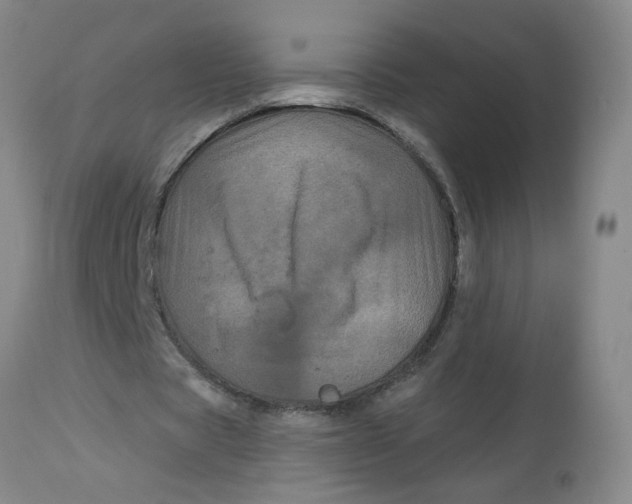 X0000113160529200909251354