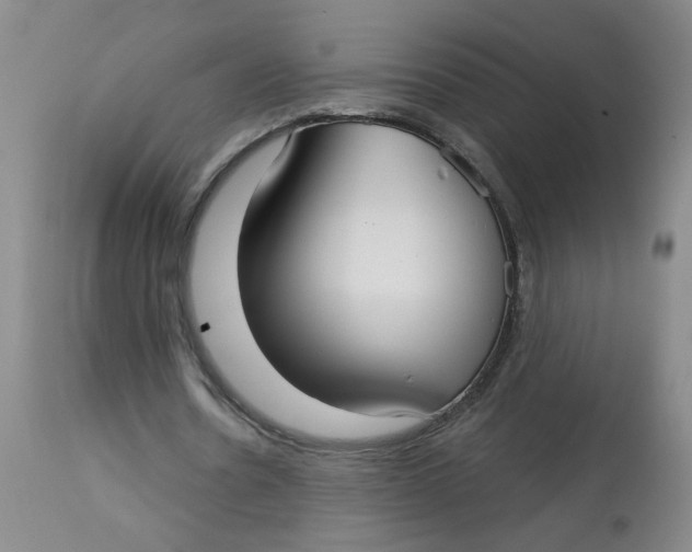 X0000113160530200909251354