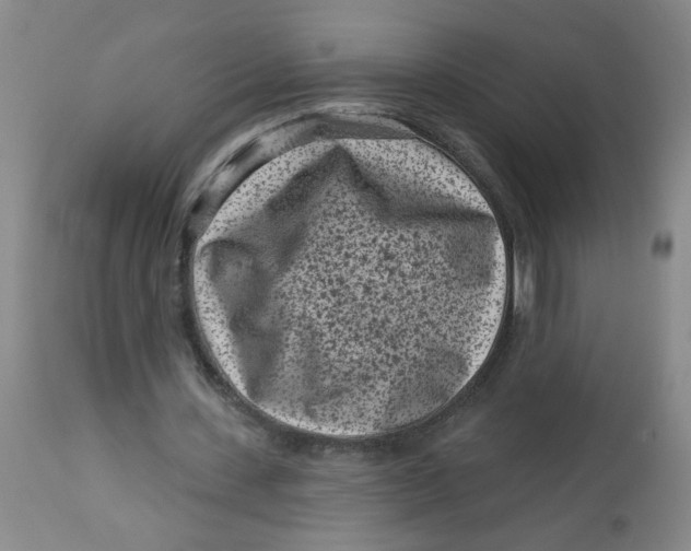 X0000113160531200909251354