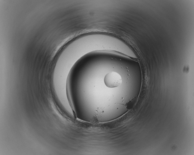 X0000113160534200909251354