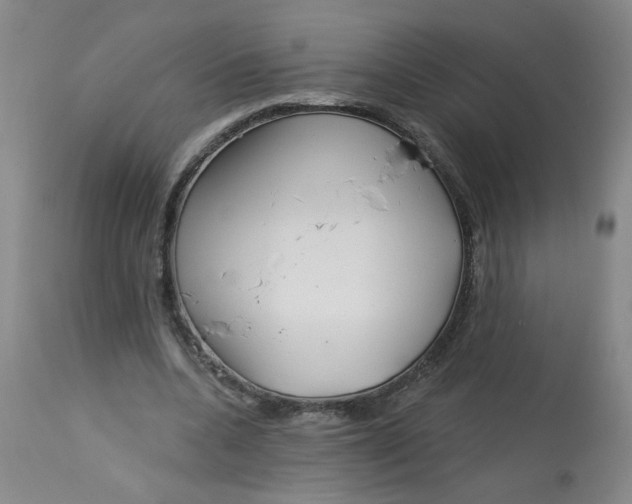 X0000113160536200909251354