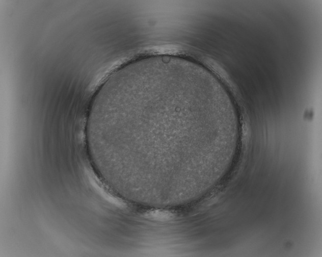 X0000113160537200909251354