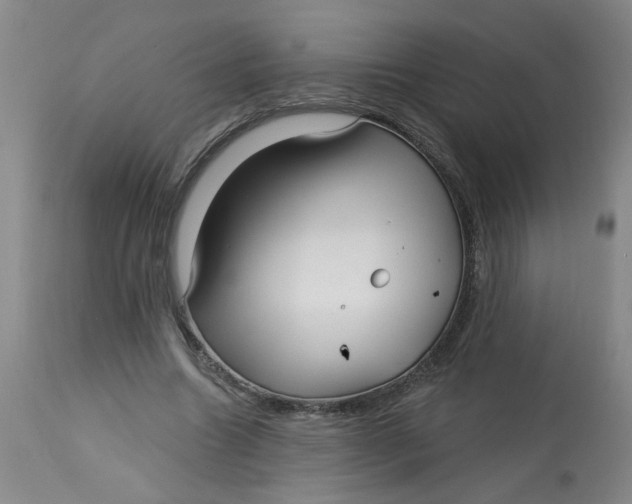 X0000113160538200909251354