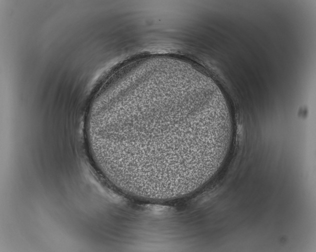 X0000113160539200909251354