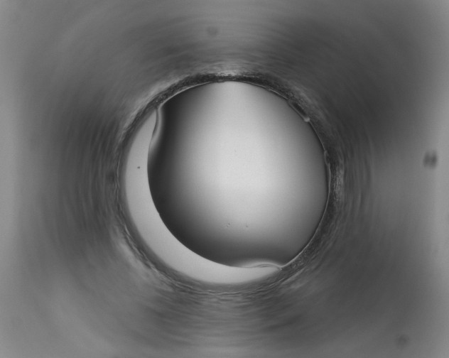 X0000113160540200909251354