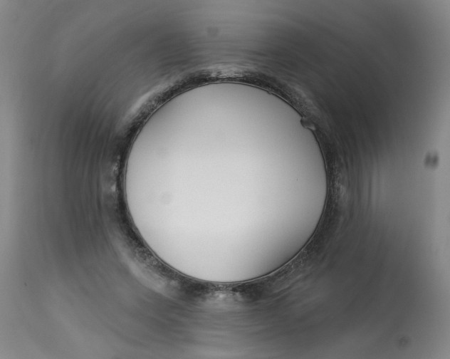 X0000113160543200909251354