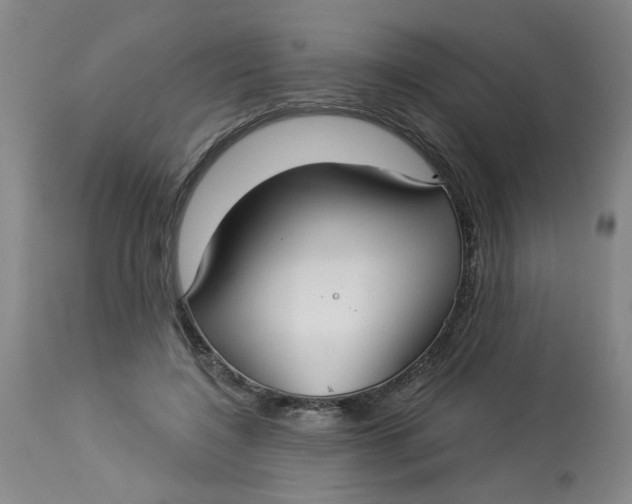 X0000113160548200909251354