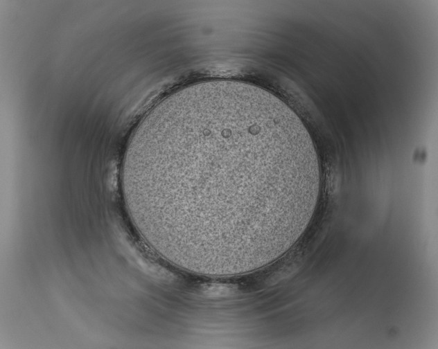 X0000113160549200909251354