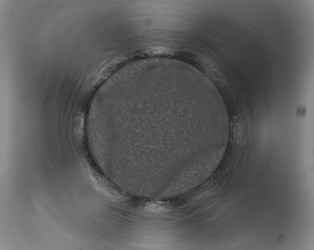 X0000113160550200909251354