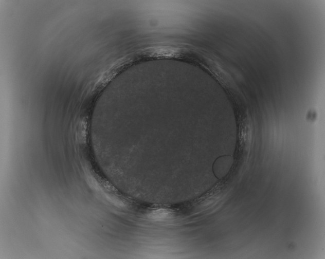 X0000113160551200909251354