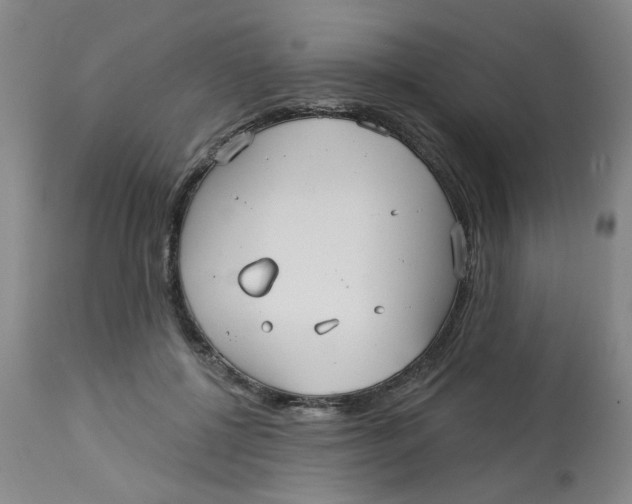 X0000113160552200909251354