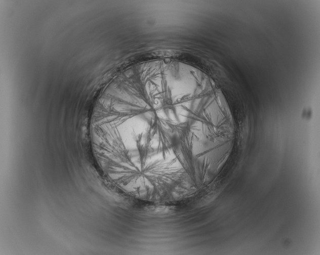 X0000113160553200909251354