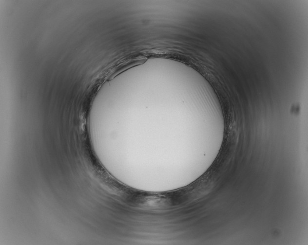 X0000113160555200909251354