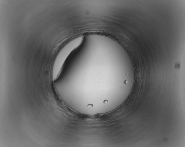 X0000113160556200909251354