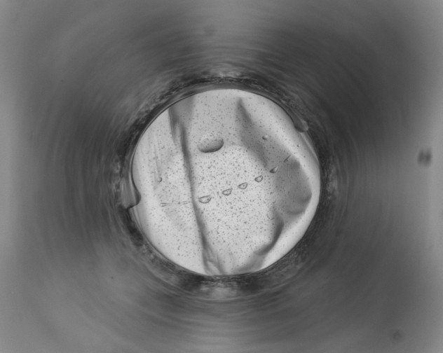 X0000113160559200909251354