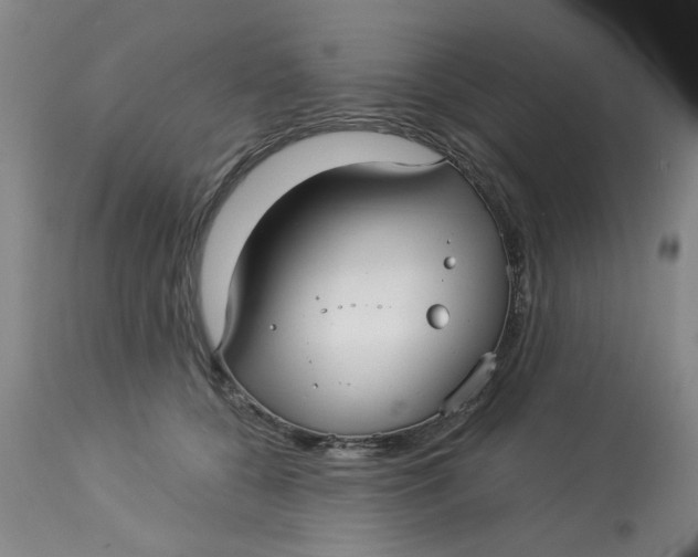 X0000113160560200909251354