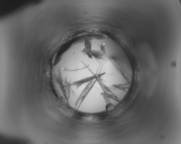 X0000113160561200909251355