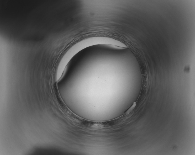 X0000113160562200909251355