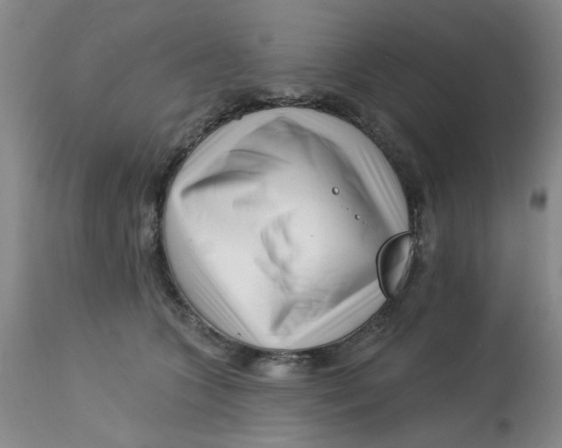 X0000113160563200909251355