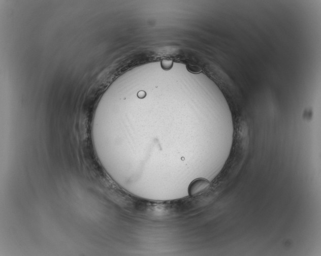 X0000113160565200909251355