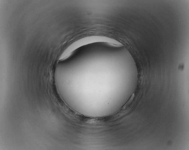 X0000113160568200909251355