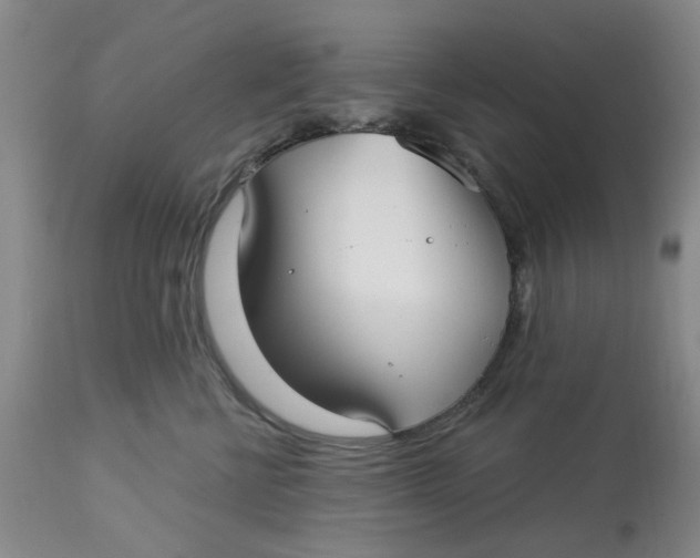 X0000113160570200909251355