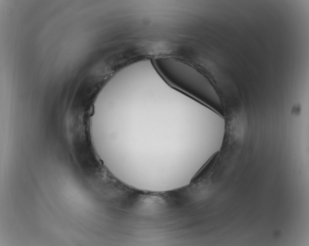 X0000113160572200909251355