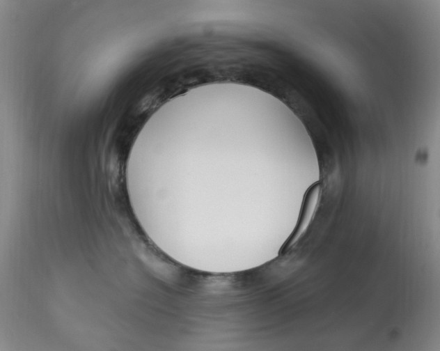 X0000113160574200909251355